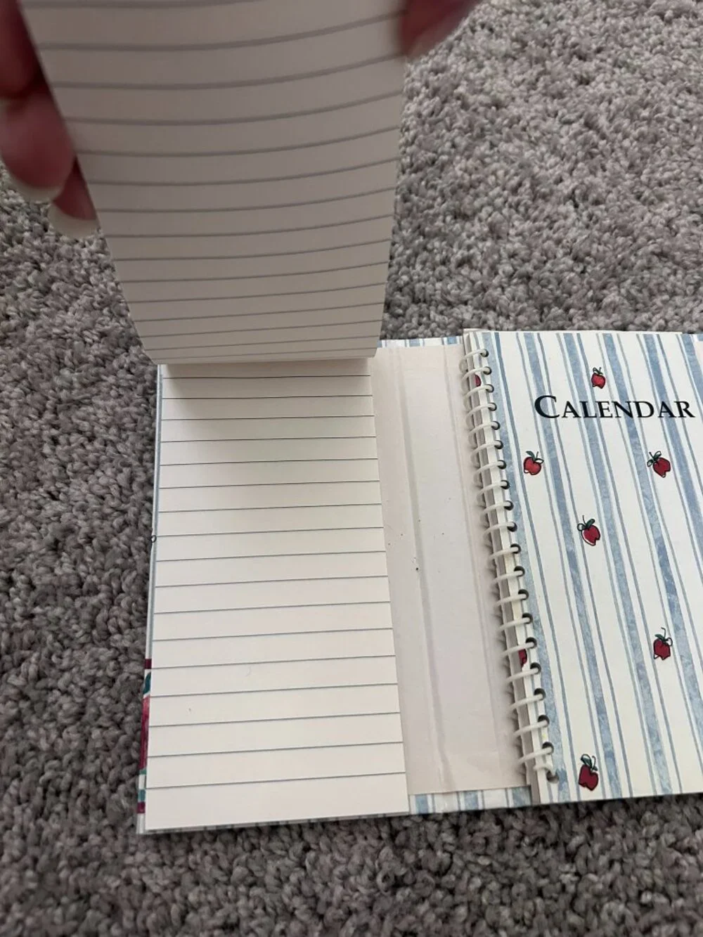 Vintage 1990's Apples 3 Fold Organizer and Address Book Spiral